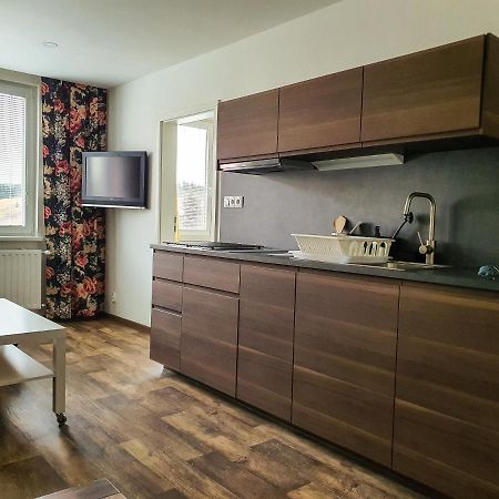 Apartmany Schmiedeberg U Klinovce Kovářská エクステリア 写真