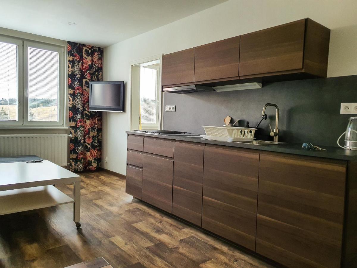Apartmany Schmiedeberg U Klinovce Kovářská エクステリア 写真